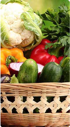 Ernährung Ernährung