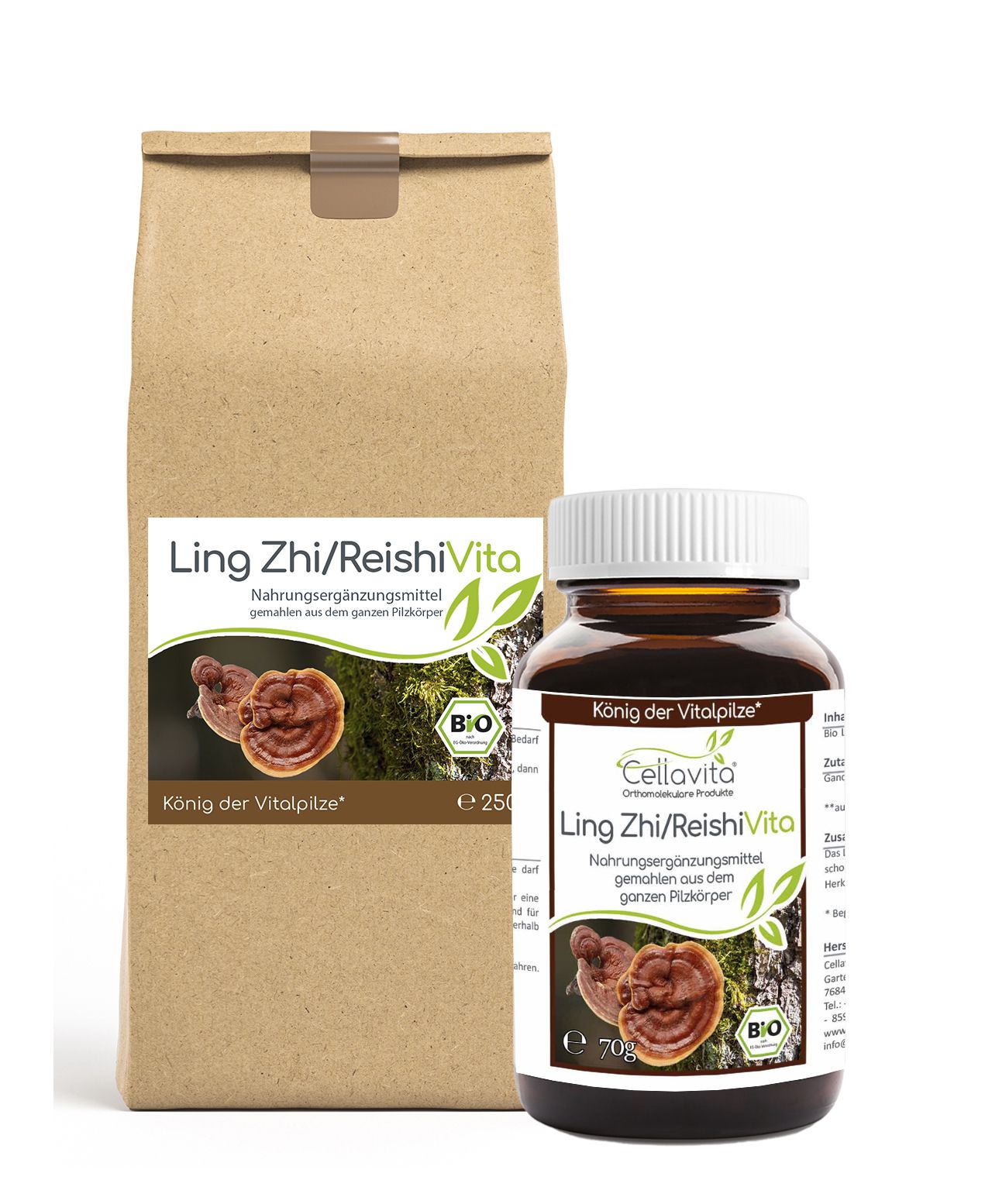 Ling Zhi / Reishi Pilzsporen Pulver (Exklusiv, reine Sporen vom Reishi-Pilz)