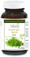 Artemisia Annua Einjähriger Beifuß