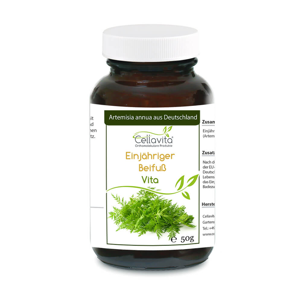 Artemisia Annua Einjähriger Beifuß