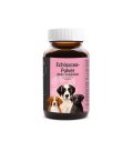 Cellavita- Tierliebe Echinacea