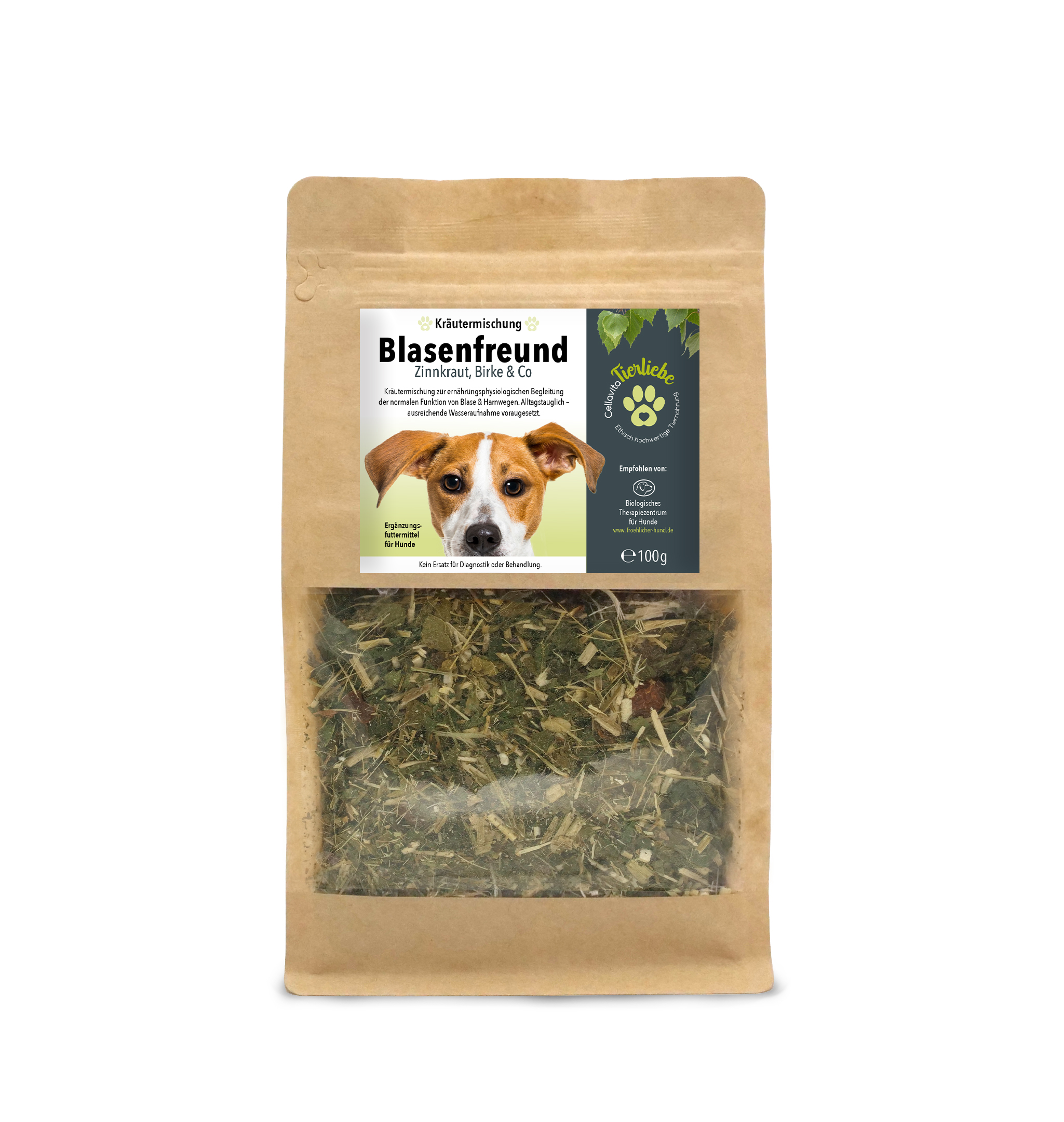 Blasenfreund Zinnkraut, Birkenblätter & Co