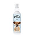 Zahnspray für Hunde