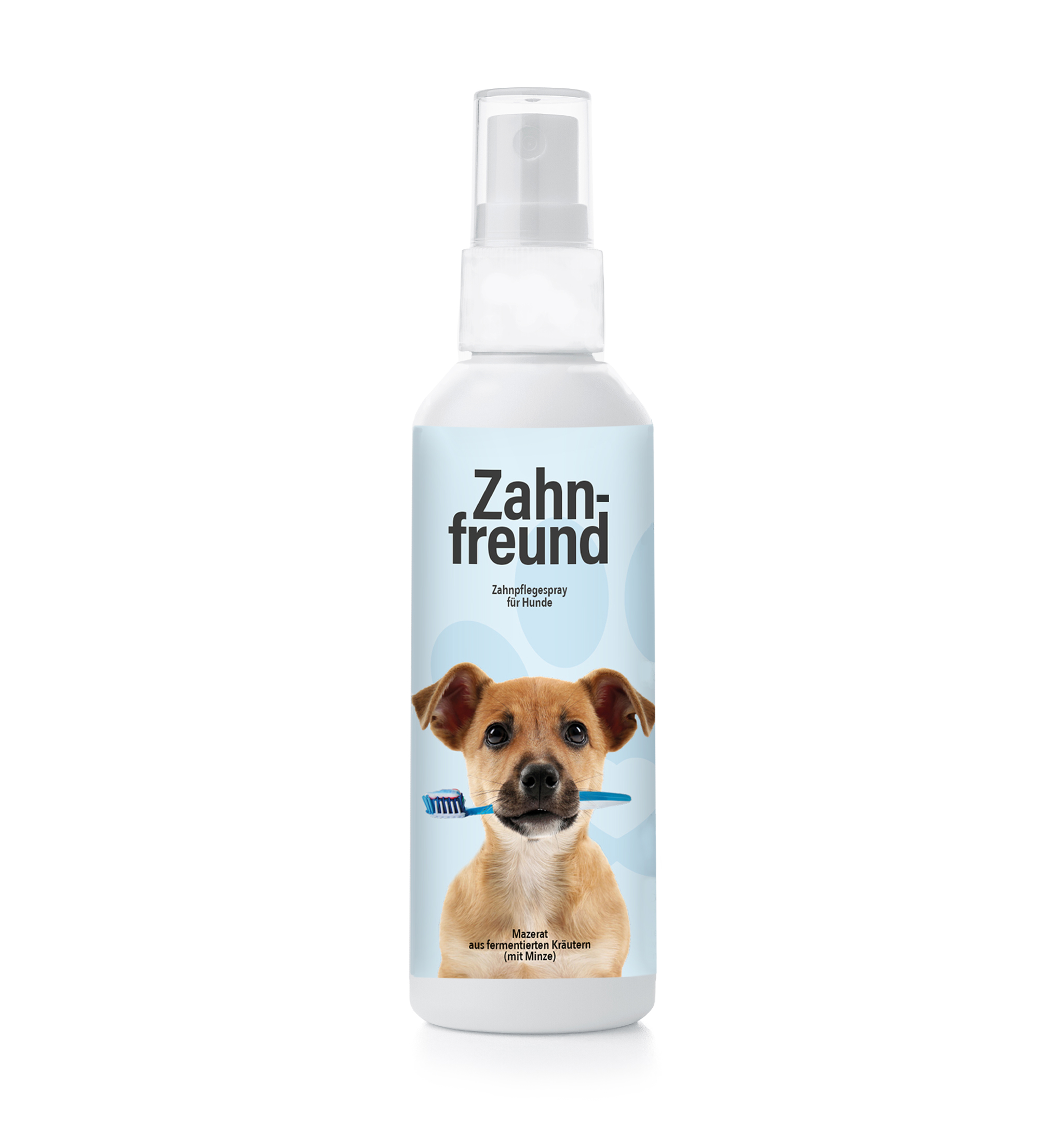Zahnspray für Hunde